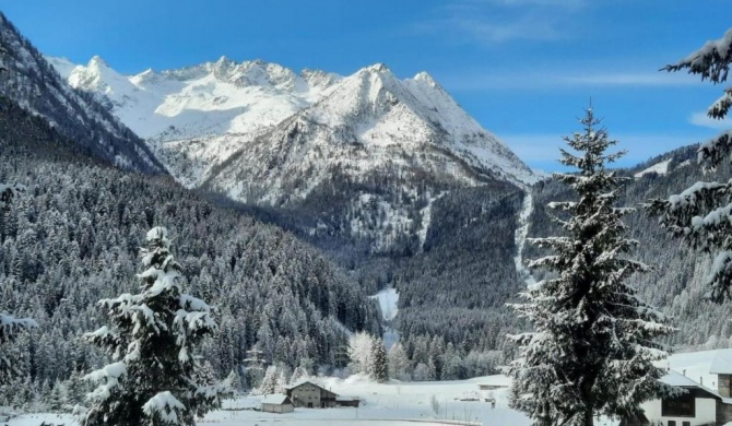 Rustico Bertolini