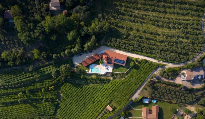 Agriturismo Ai Dossi