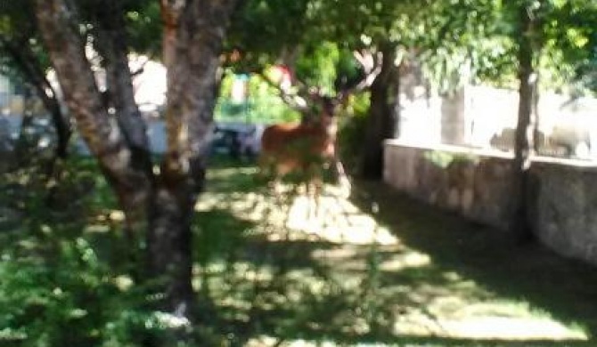Appartamenti De Sanctis