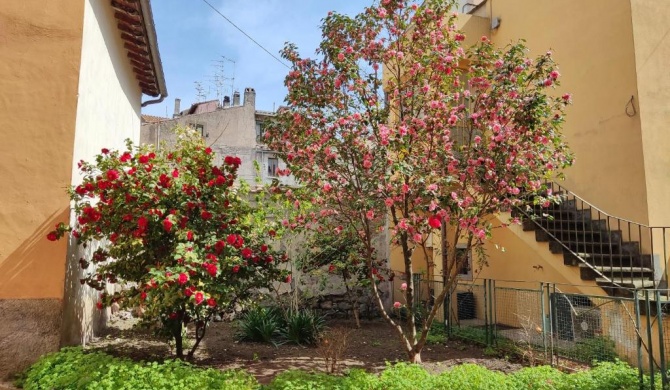 Il Giardino delle Camelie