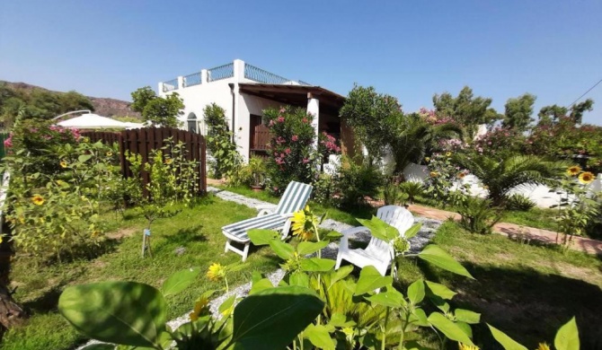 Garden & Sea