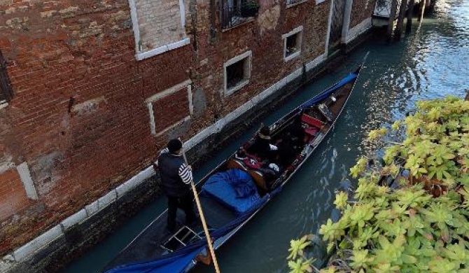 Charming Venice Apartments
